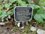 image of grave number 820092